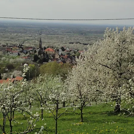Burgblick In Apartment Lauf