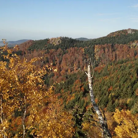 Burgblick In Lauf