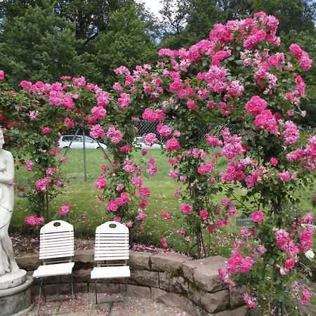 Burgblick In *