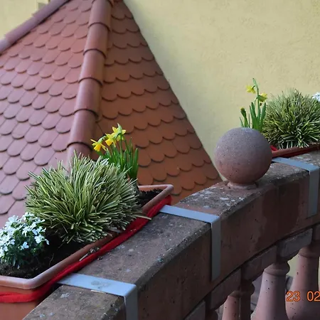 Burgblick In Lauf